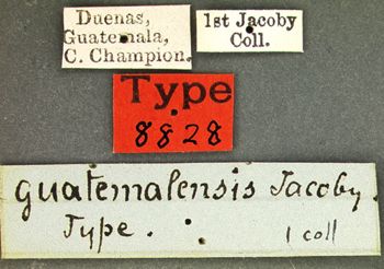 Media type: image; Entomology 8828   Aspect: labels